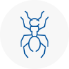 Ant Removals In Bingley