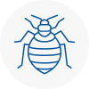 Bed Bug Extermination In Bingley