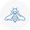 Bee Nest Removal Bingley
