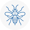 Bingley Hornet Nest Removals
