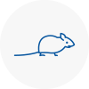 Mice Exterminators In Bingley