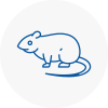 Rat Control Bingley