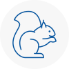 Bingley Rodent Removals