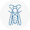 Bingley Wasp Nest Removal